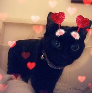 Meet your Posher, Toni